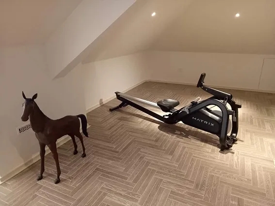 &emsp;&emsp;劃船器