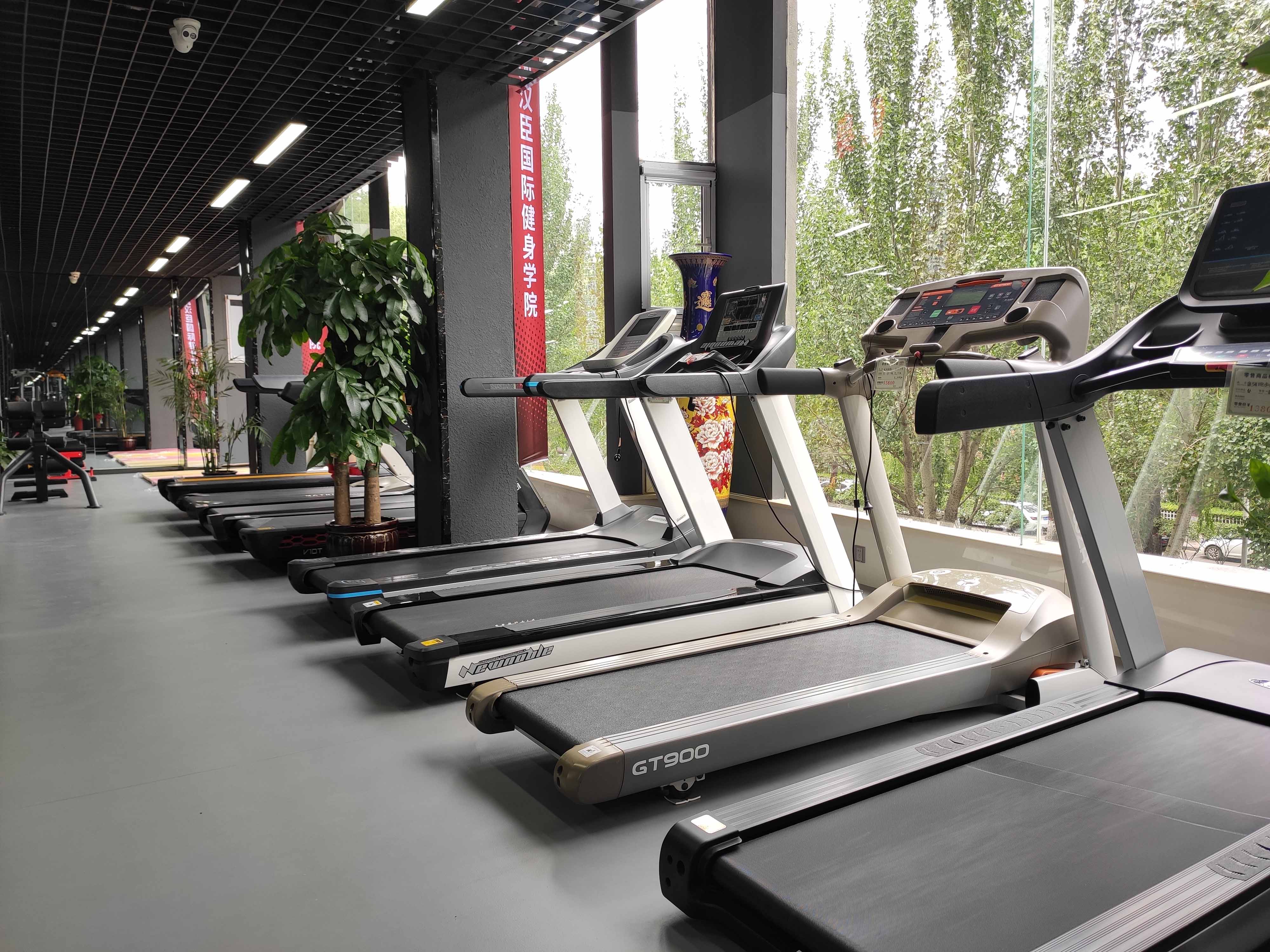 太原樱桃视频免费批發市場