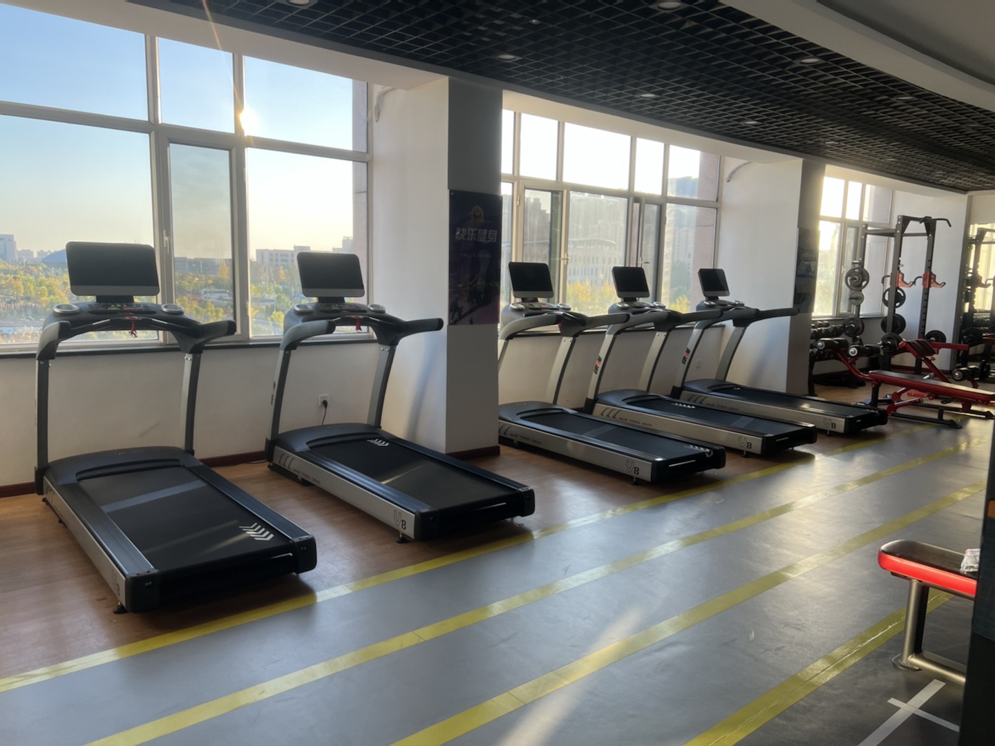 太原樱桃视频免费批發市場